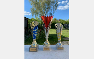 Coupe des Yvelines 2024