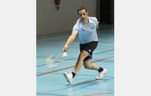 51838aa80f32c_Tropfacileunbrasdansledos.JPG