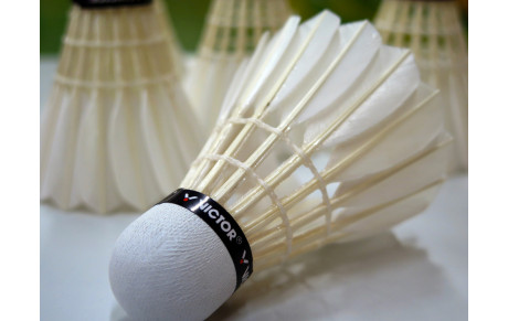 Inscription pour la saison 2015-2016