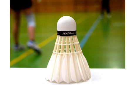 Bilan de la saison d'interclubs 2017-2018