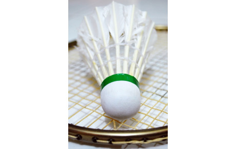 Badminton de haut niveau à Voisins
